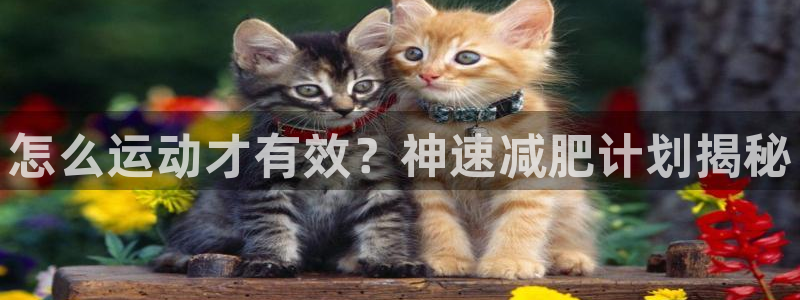 龙8头号玩家游戏官方进入