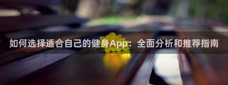 龙8国际版