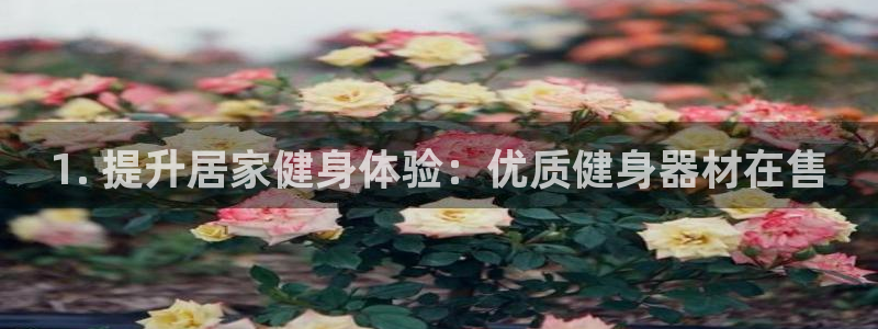 龙八国际网页