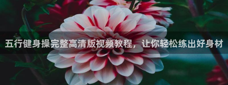 龙8国际官方网手机版下载安装
