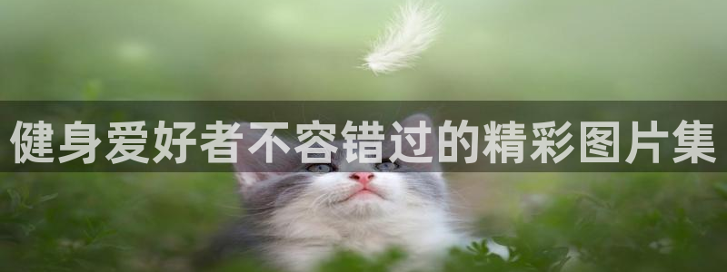 龙8国际平台
