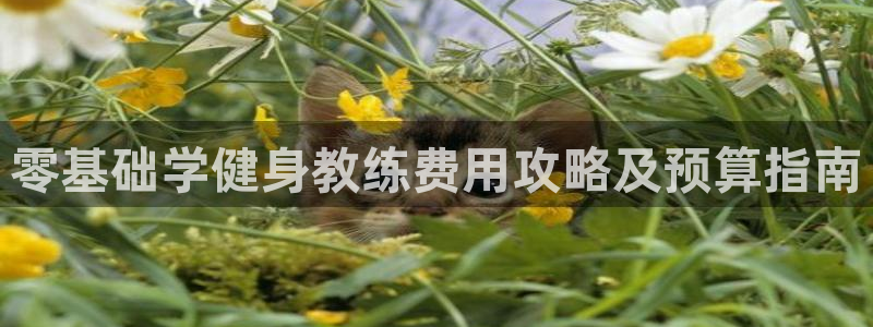 龙8国际app下载手机版