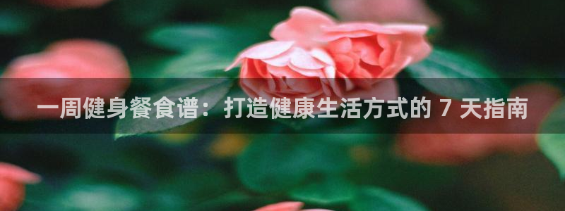 国际龙8官网pt客户端