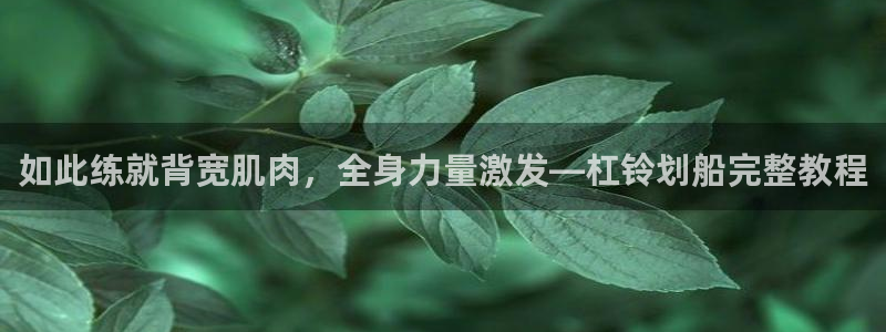 下载龙8国际