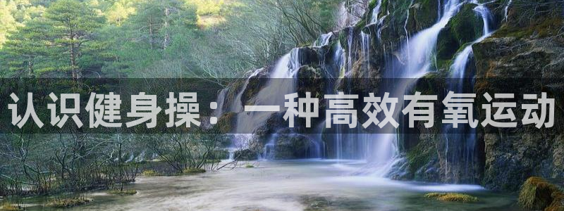 龙8国际网站