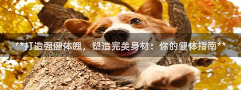 龙8国际头号玩家下载