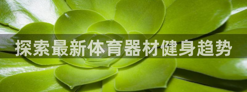 龙8国际com