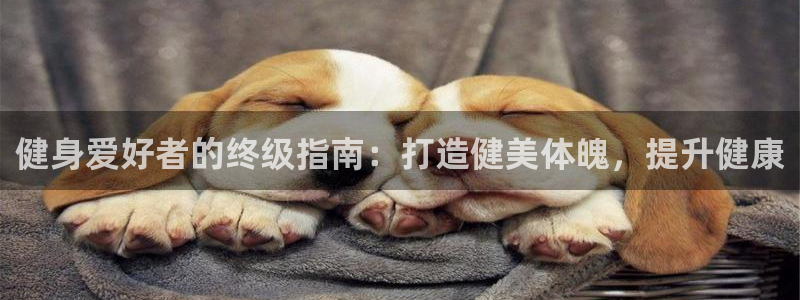 龙8国际官方网站手机版
