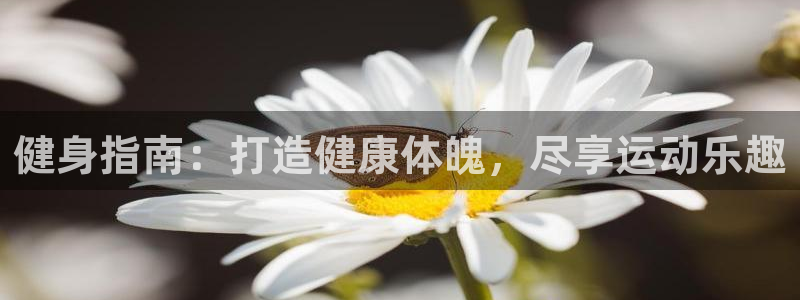 龙8国际中国