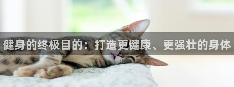 龙8国际电子平台
