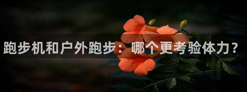 龙8国际害死多少人