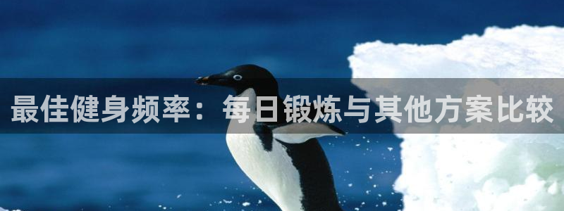 龙8国际官网版最新版下载
