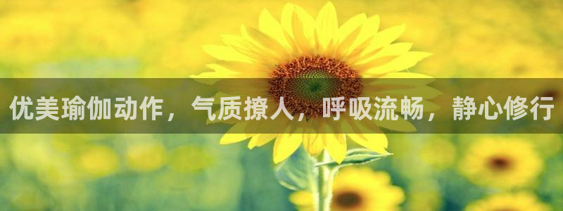 龙8国际服