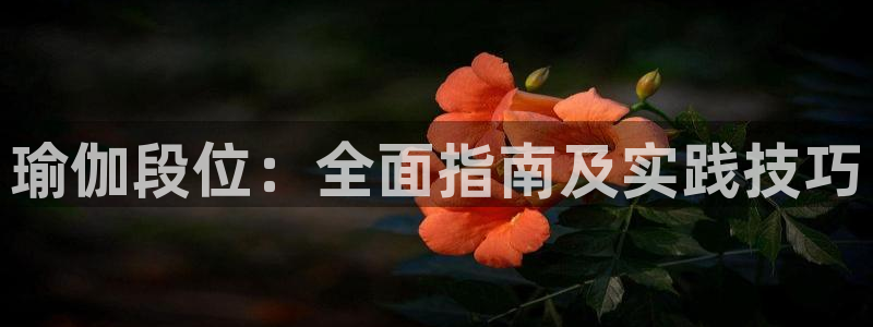 龙8国际官网正版
