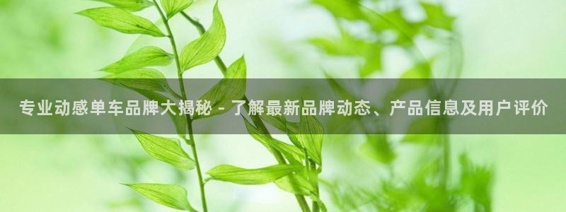 龙8国际为啥改名叫头号玩家了