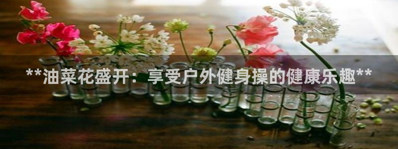 龙8国际网页版下载