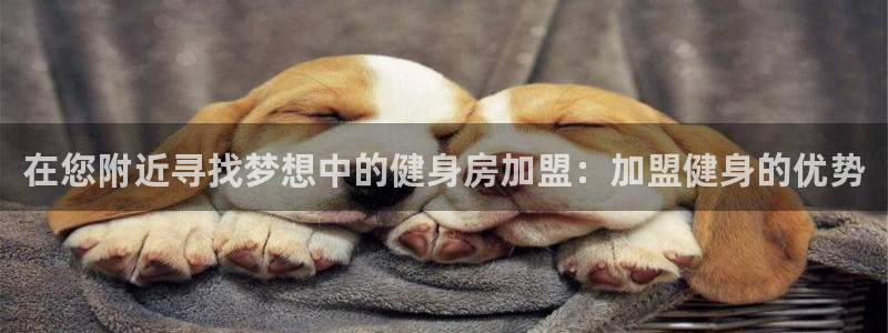 龙8国际网址是什么