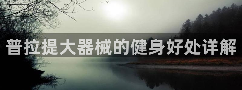 龙8国际long8