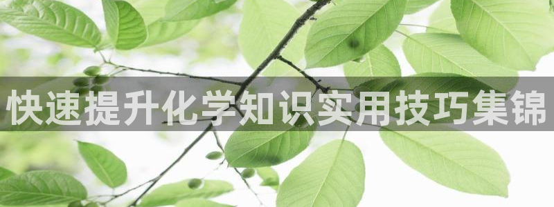 龙8国际pt网址官方