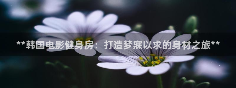 下载龙八国际