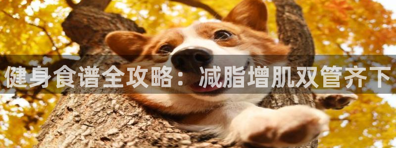 龙8国际唯一官网手游登入口