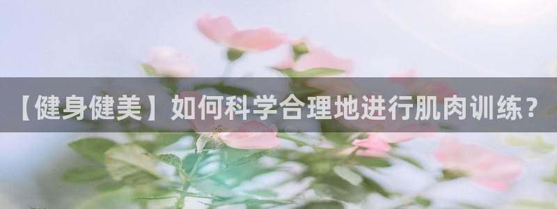 龙8国际.apk