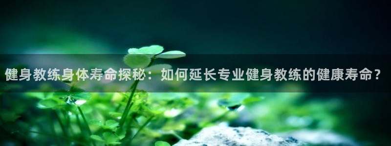 龙8国际网址