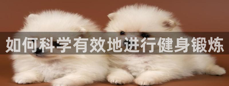 龙8官网游戏