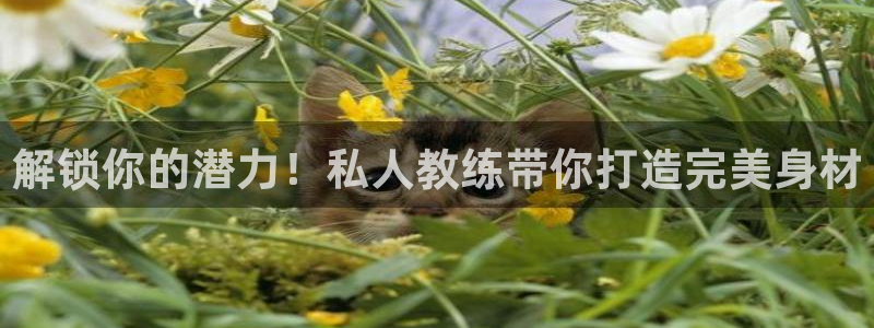 龙8老虎机游戏网站多少
