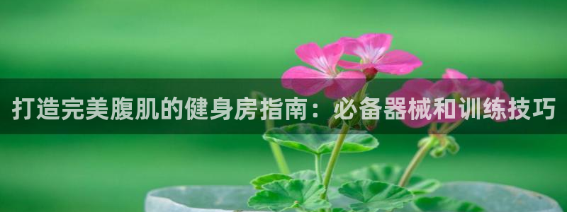 龙8国际app下载手机版