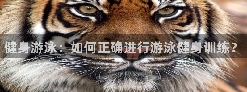 龙8国际怎么进不去了