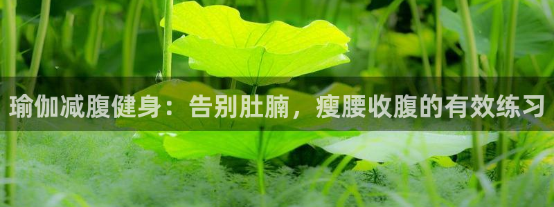 龙8国际唯一官网官方版