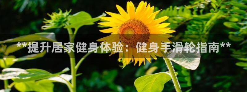 龙8国际安卓版版