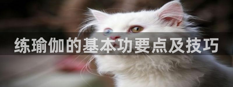 龙8游戏官方网站z