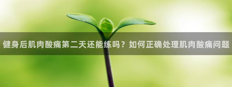 龙八国际服官网站