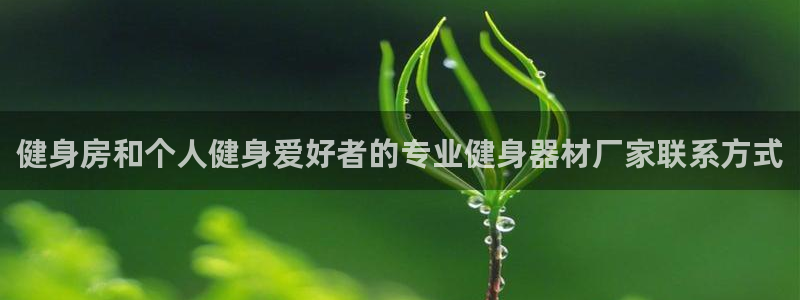 龙8国际手机版官网