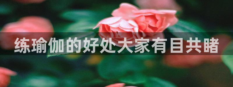 龙8国际pt网址