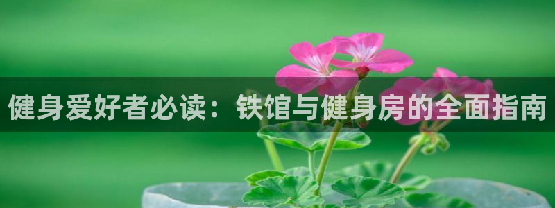 龙8国际pt