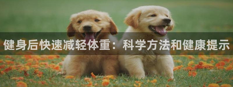 龙8国际安卓官方版fxzls-1.2.1 -安卓
