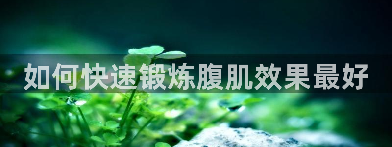龙8国际手机游戏官网下载