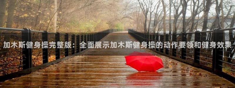 龙8国际网址