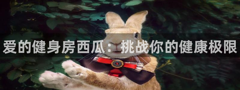 龙8国际备用