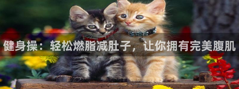 龙八国际唯一官网