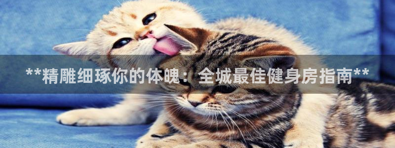龙八国际唯一官网
