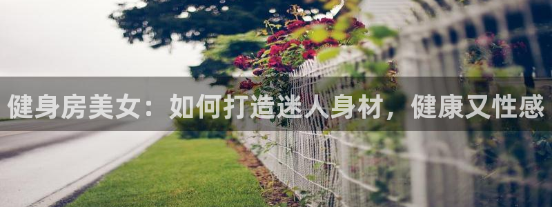 龙8国际游戏官网