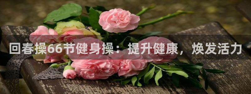 龙 八国际