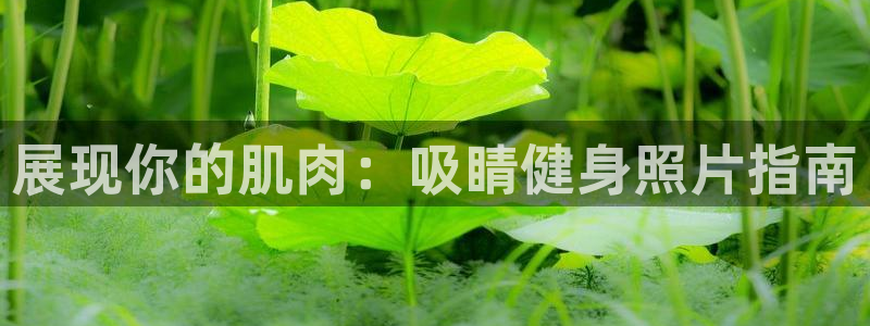 龙8国际游戏最新资讯