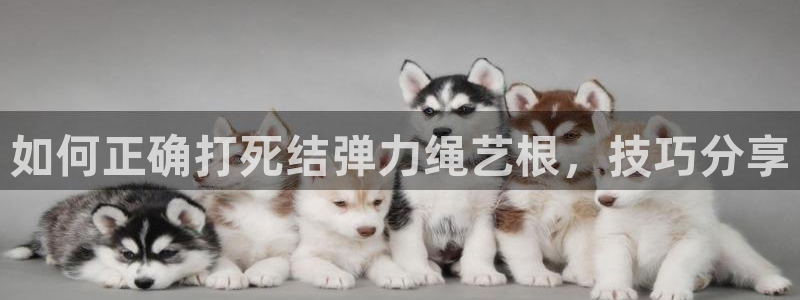 龙8国际试玩