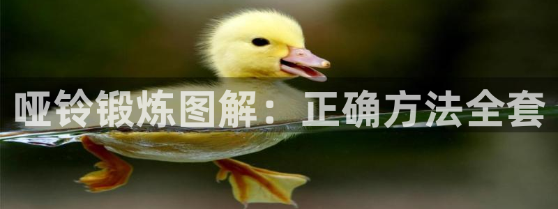 龙8国际app 下载