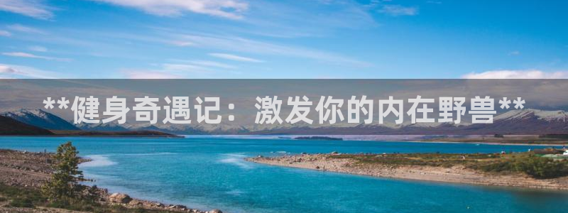 龙8国际手机游戏官网下载